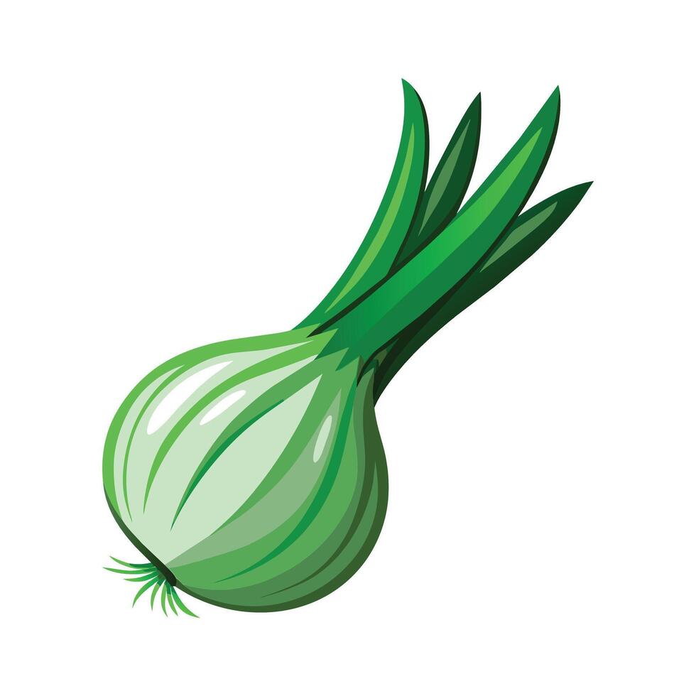 illustration de vert oignon sur blanc vecteur