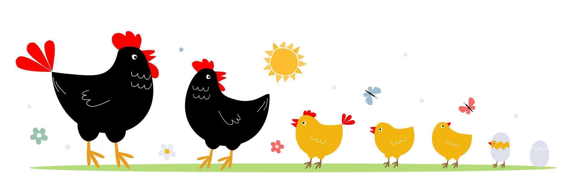 ensemble de oiseau famille, la volaille. coq, poule, poussins, des œufs ensemble un après un autre. graphique. vecteur