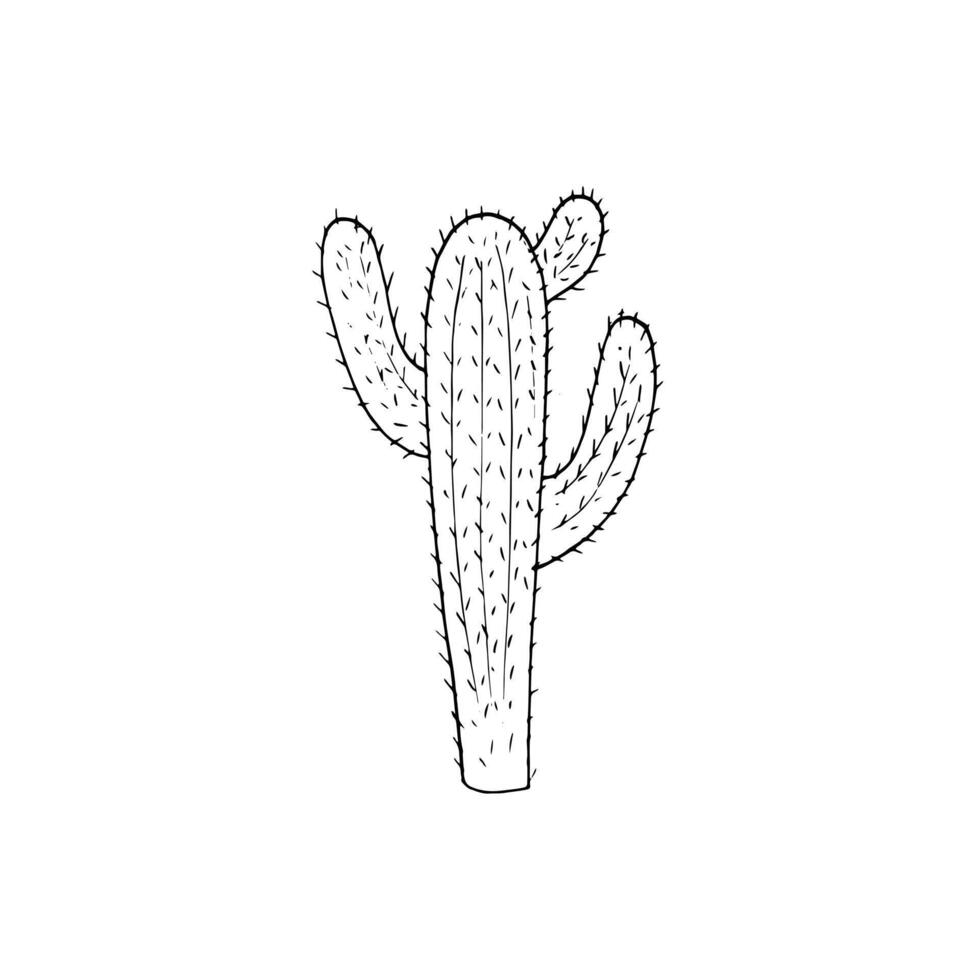 dessiné à la main cactus dessin dans griffonnage style. illustration. cactus avec fleur. isolé sur blanc vecteur