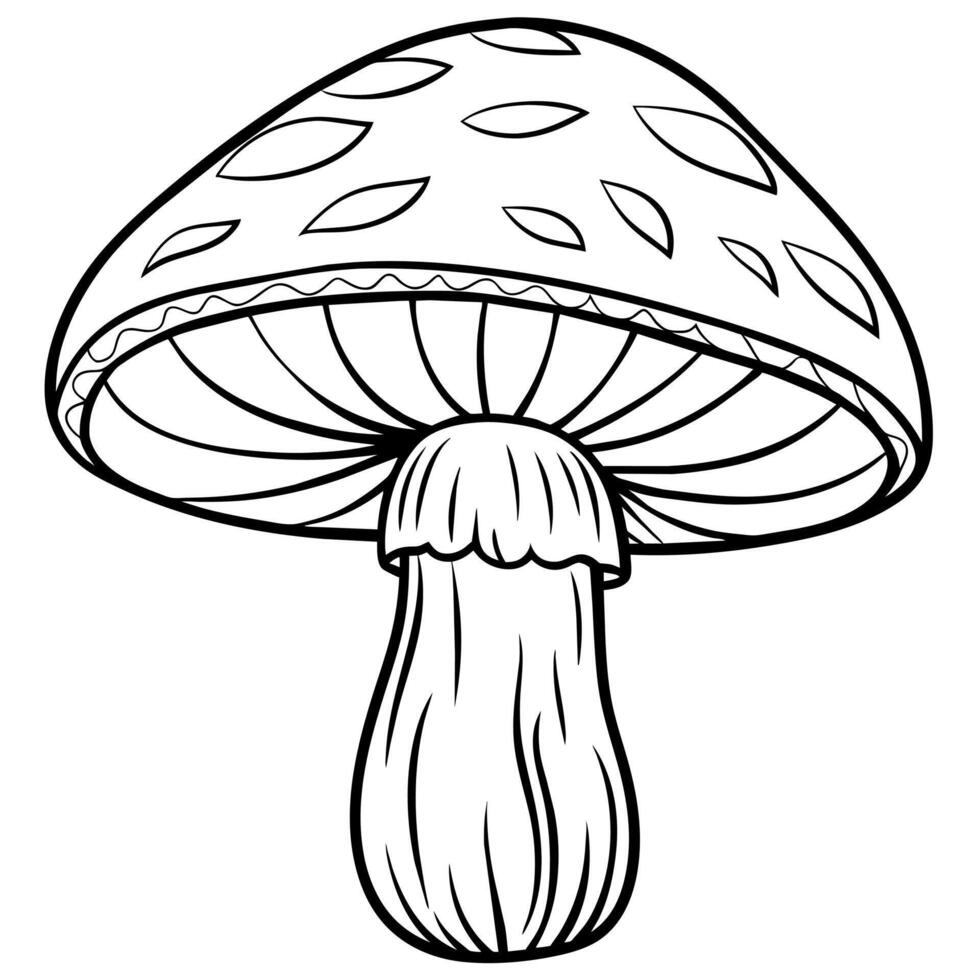 champignon contour illustration numérique coloration livre page ligne art dessin vecteur
