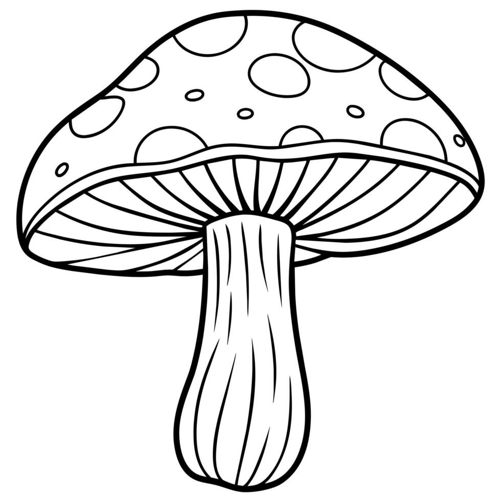 champignon contour illustration numérique coloration livre page ligne art dessin vecteur