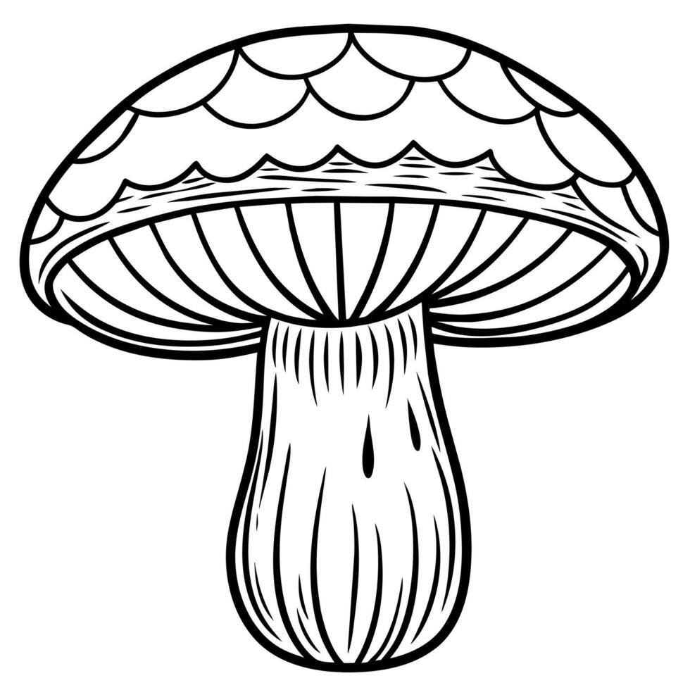 champignon contour illustration numérique coloration livre page ligne art dessin vecteur