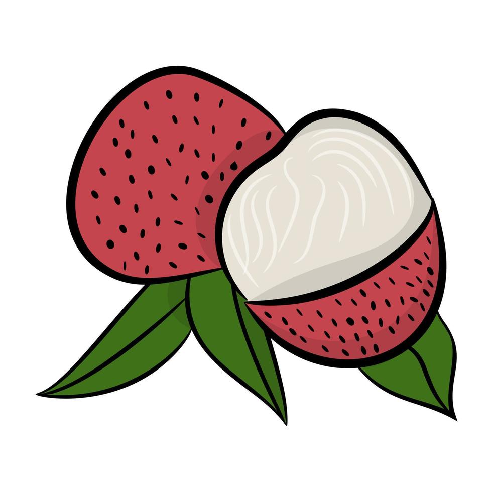 concepts de litchi à la mode vecteur