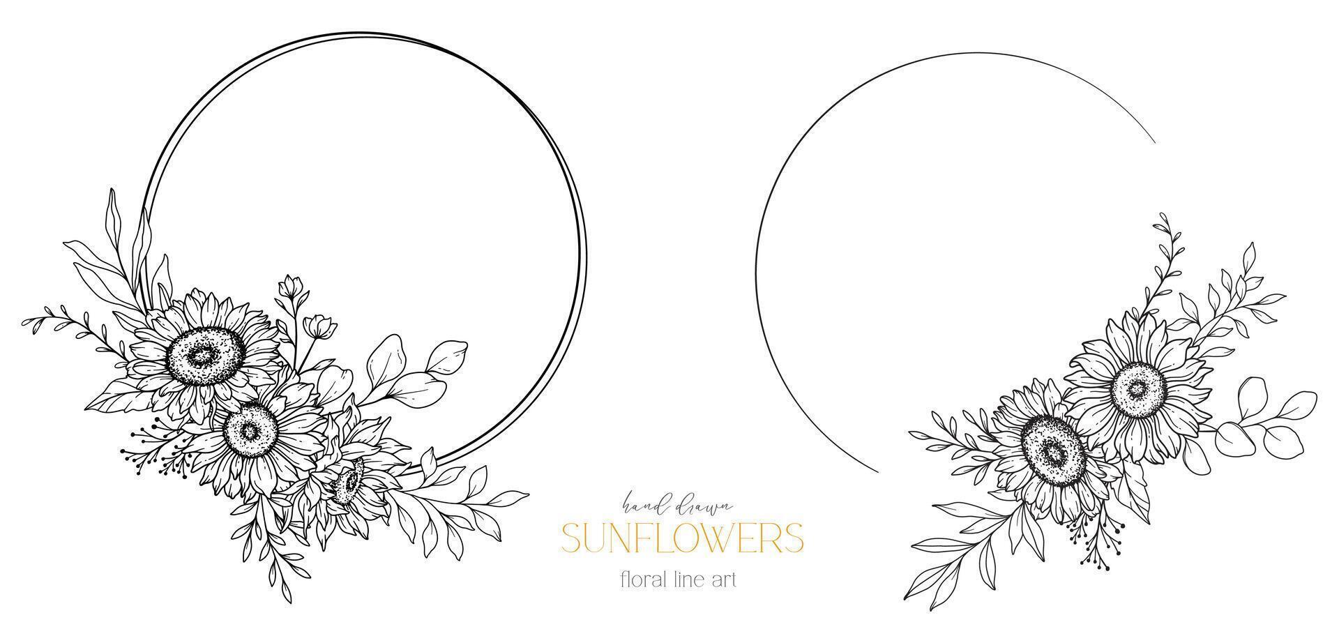 tournesols ligne dessin. tournesol Cadre ligne art. floral Cadre. floral ligne art. bien ligne tournesol illustration. main tiré contour fleurs. botanique coloration page. mariage invitation fleurs vecteur