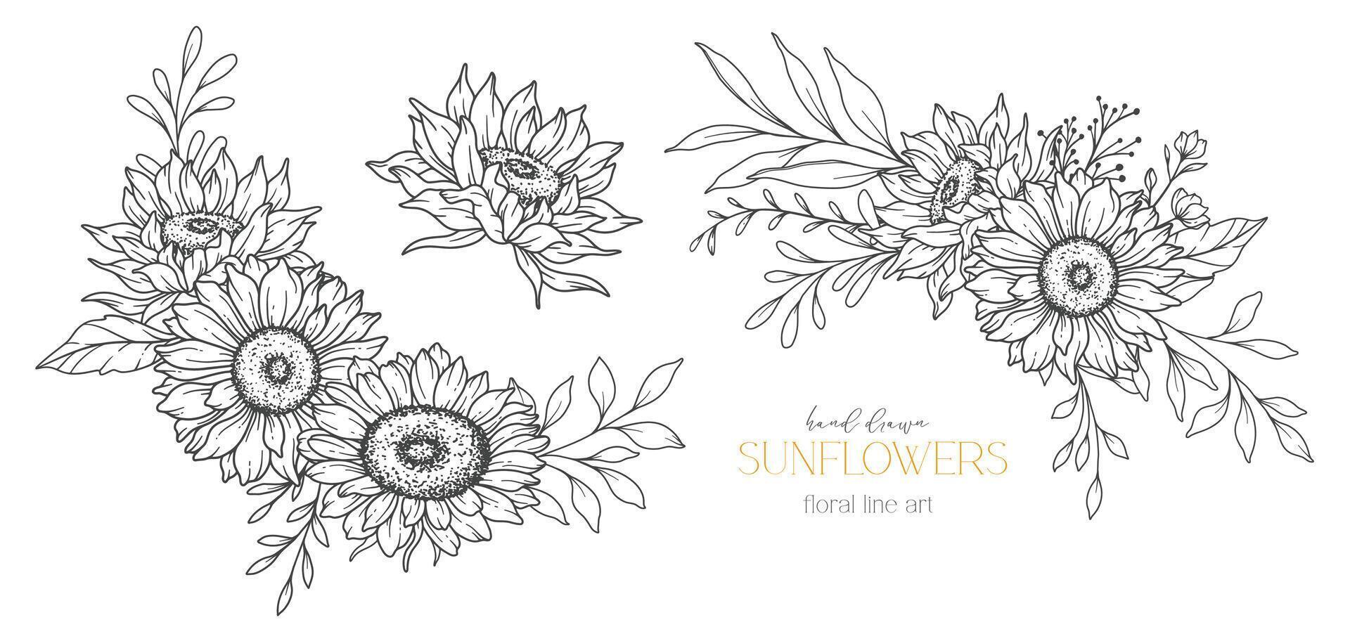 tournesols ligne art, bien ligne tournesols main tiré illustration. bien ligne tournesols illustration. floral ligne art. noir et blanc tournesols graphique vecteur