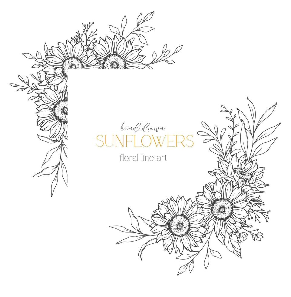 tournesols ligne dessin. tournesol Cadre ligne art. floral Cadre. floral ligne art. bien ligne tournesol illustration. main tiré contour fleurs. botanique coloration page. mariage invitation fleurs vecteur