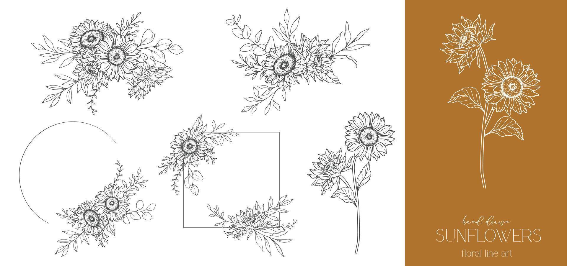 tournesols ligne dessin. tournesol Cadre ligne art. floral Cadre. floral ligne art. bien ligne tournesol illustration. main tiré contour fleurs. botanique coloration page. mariage invitation fleurs vecteur