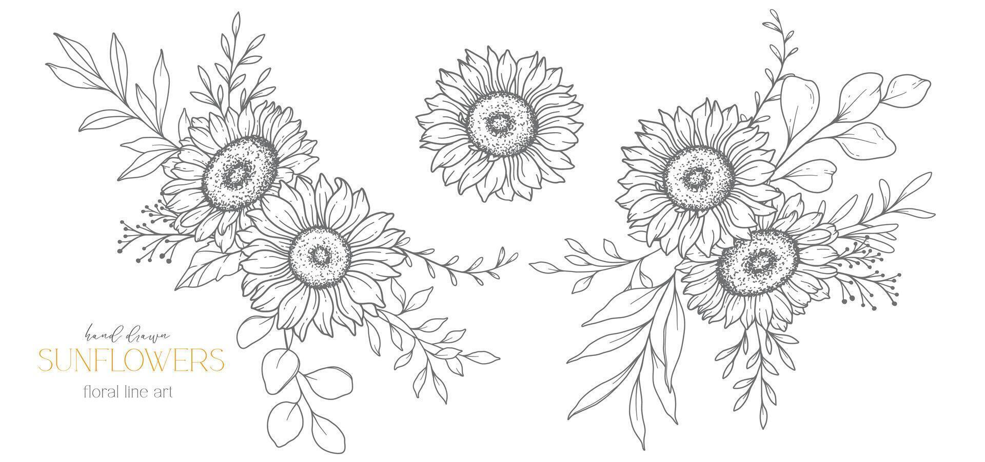 tournesols ligne art, bien ligne tournesols main tiré illustration. bien ligne tournesols illustration. floral ligne art. noir et blanc tournesols graphique vecteur