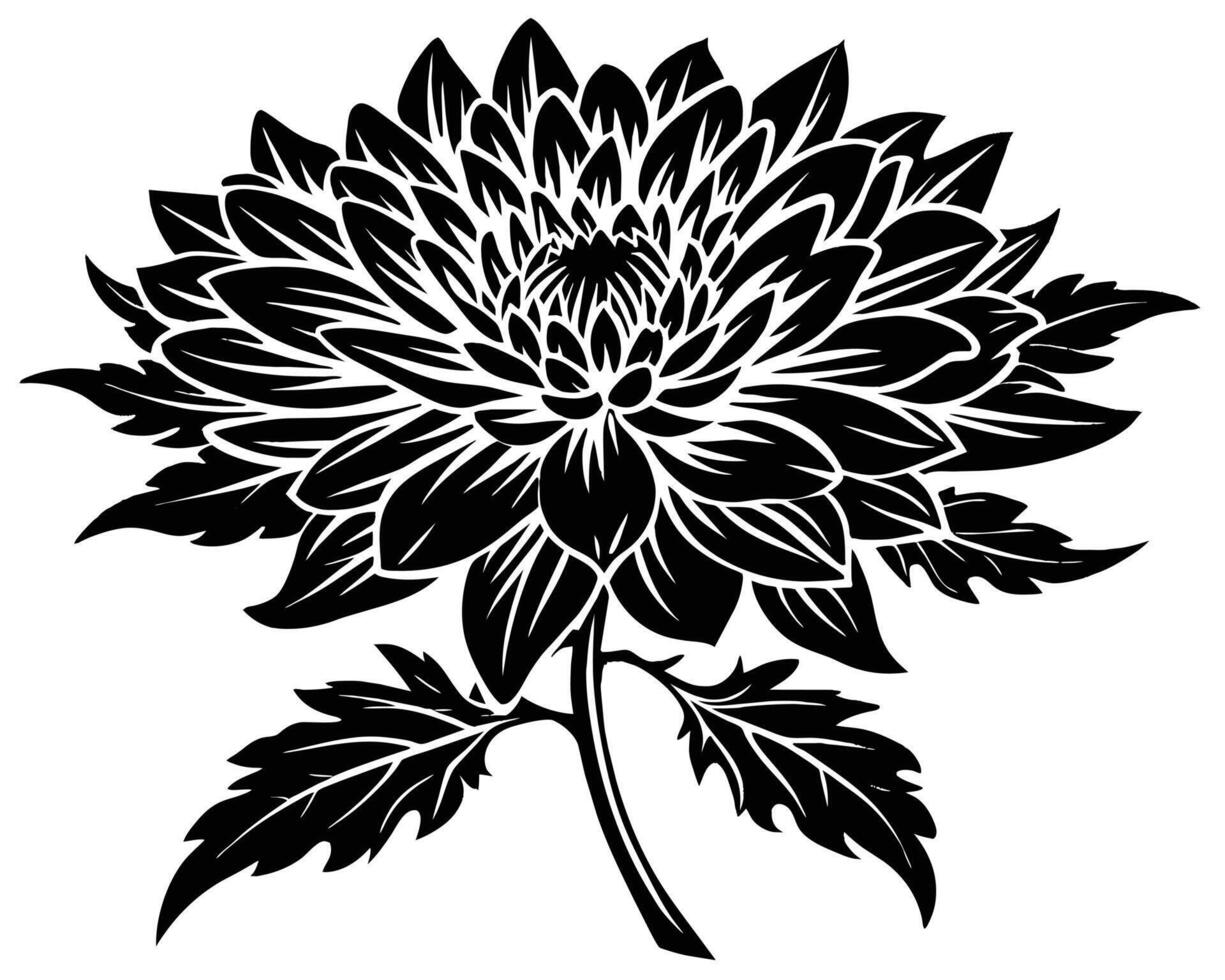 noir silhouette chrysanthème fleur vecteur