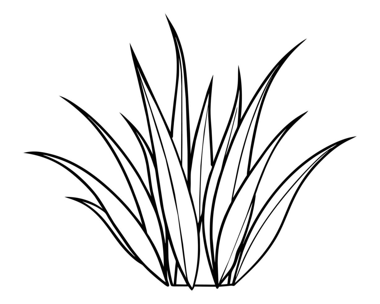 une bouquet de herbe illustration vecteur