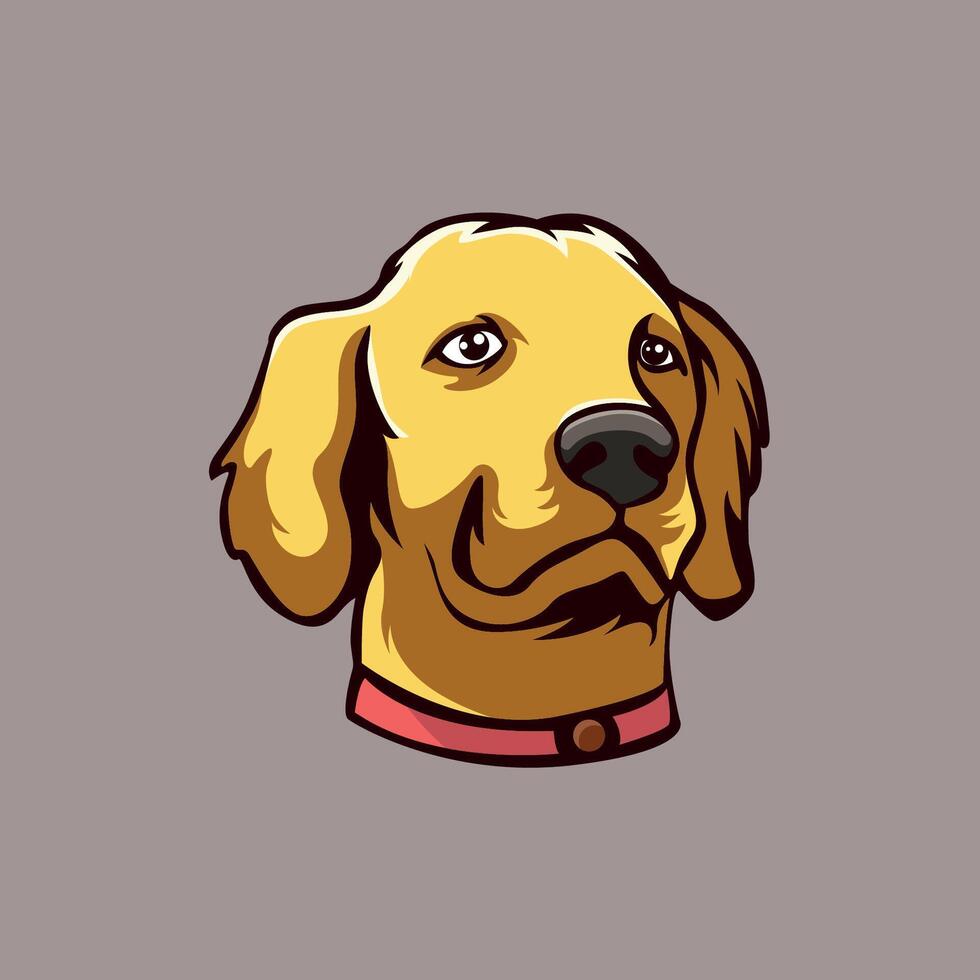 d'or retriever mascotte logo illustration vecteur