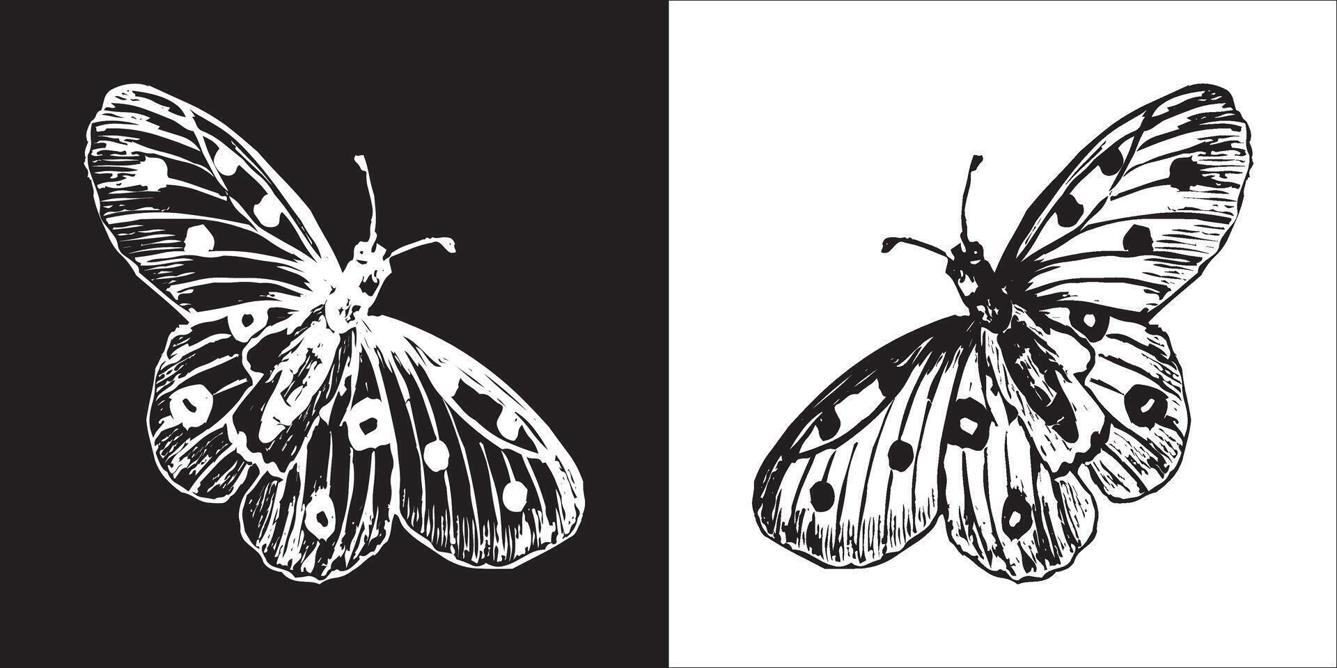 illustration graphique de papillon icône vecteur