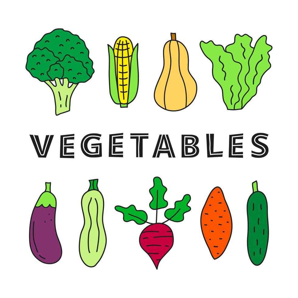 affiche avec griffonnage coloré nourriture légume Icônes. vecteur