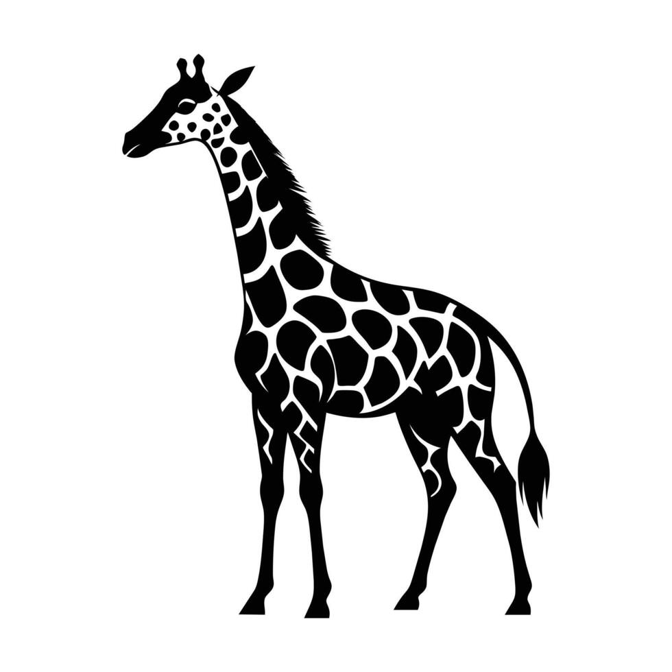 une girafe avec une noir et blanc dessin sur blanc Contexte vecteur