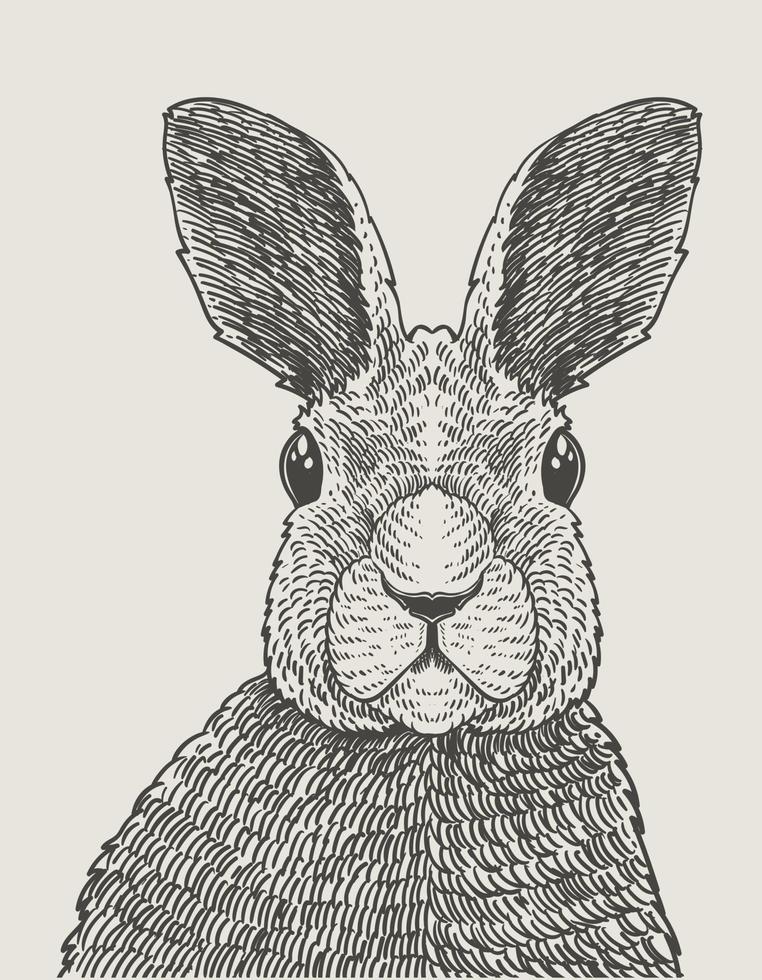 illustration de style de gravure de lapin vintage vecteur