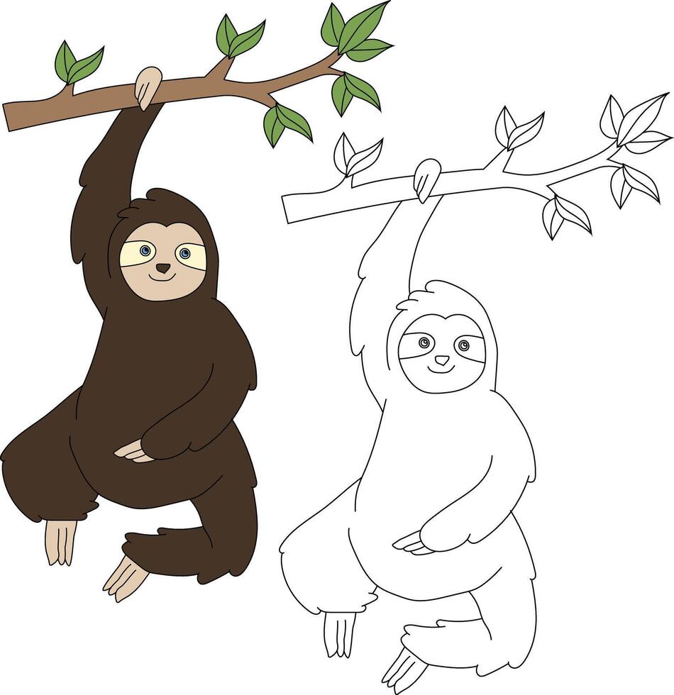 la paresse clipart ensemble. dessin animé sauvage animaux clipart ensemble pour les amoureux de faune vecteur