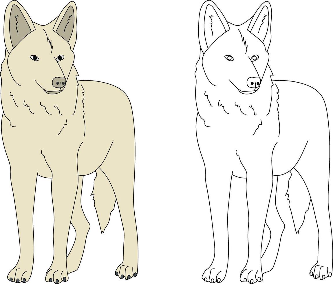 Loup clipart ensemble. dessin animé sauvage animaux clipart ensemble pour les amoureux de faune vecteur