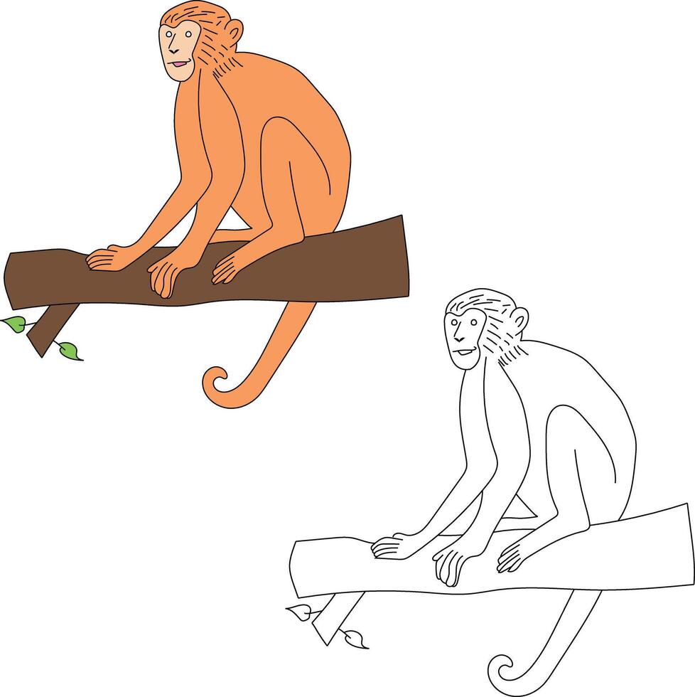 singe clipart ensemble. dessin animé sauvage animaux clipart ensemble pour les amoureux de faune vecteur