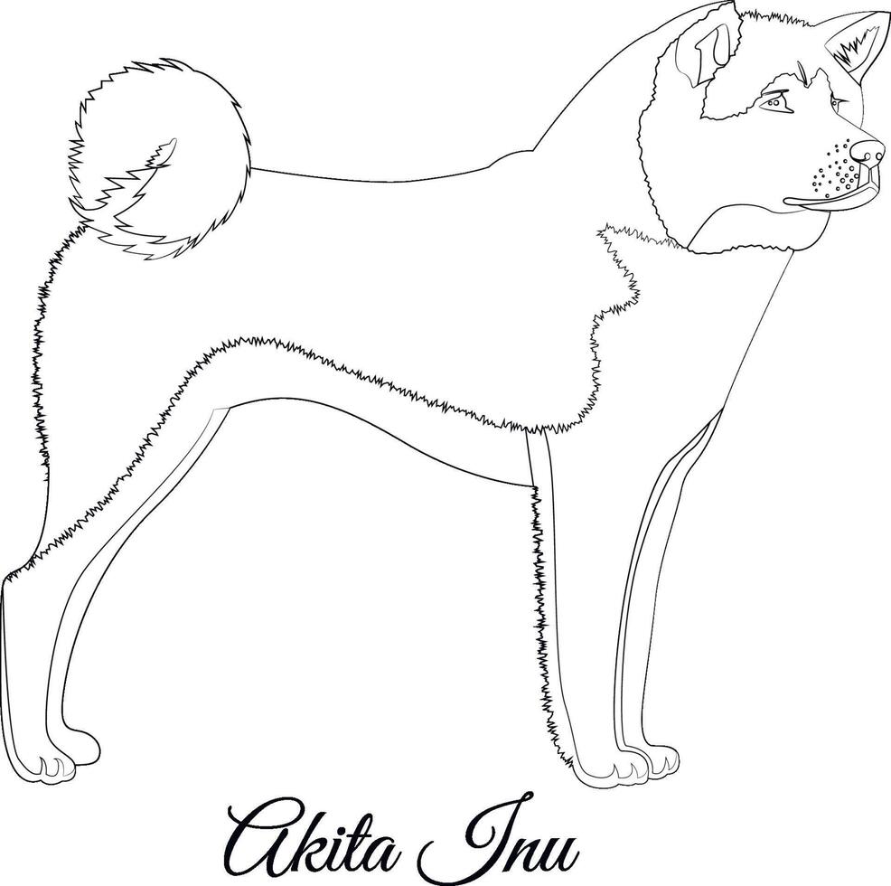 akita inu chien contour illustration vecteur