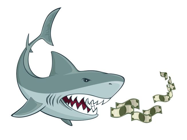 Requin des affaires vecteur