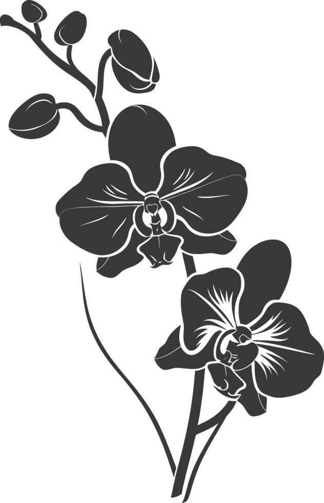 ai généré silhouette orchidée fleur noir Couleur seulement vecteur