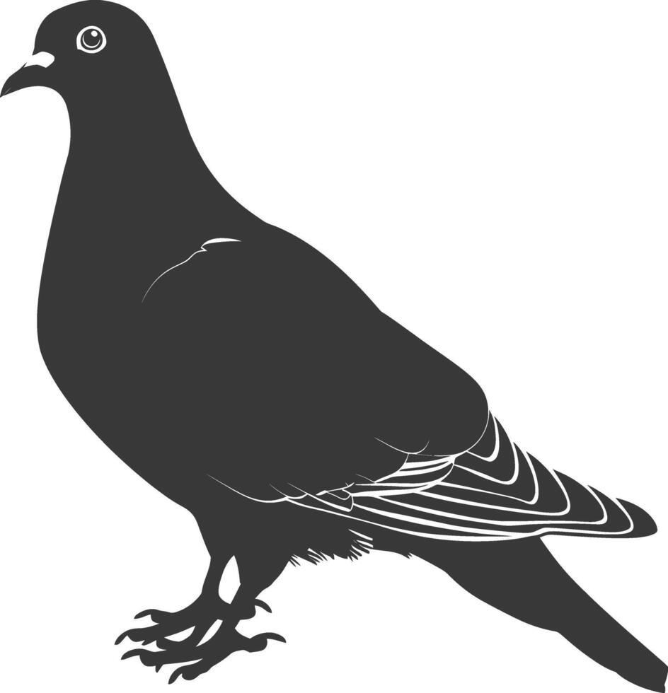 ai généré silhouette Colombe oiseau animal noir Couleur seulement plein corps vecteur