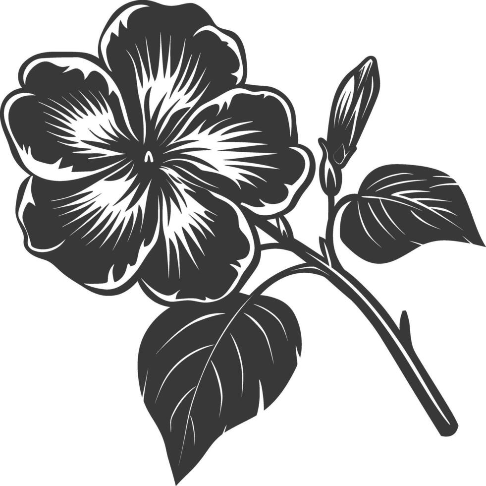 silhouette pervenche fleur noir Couleur seulement vecteur