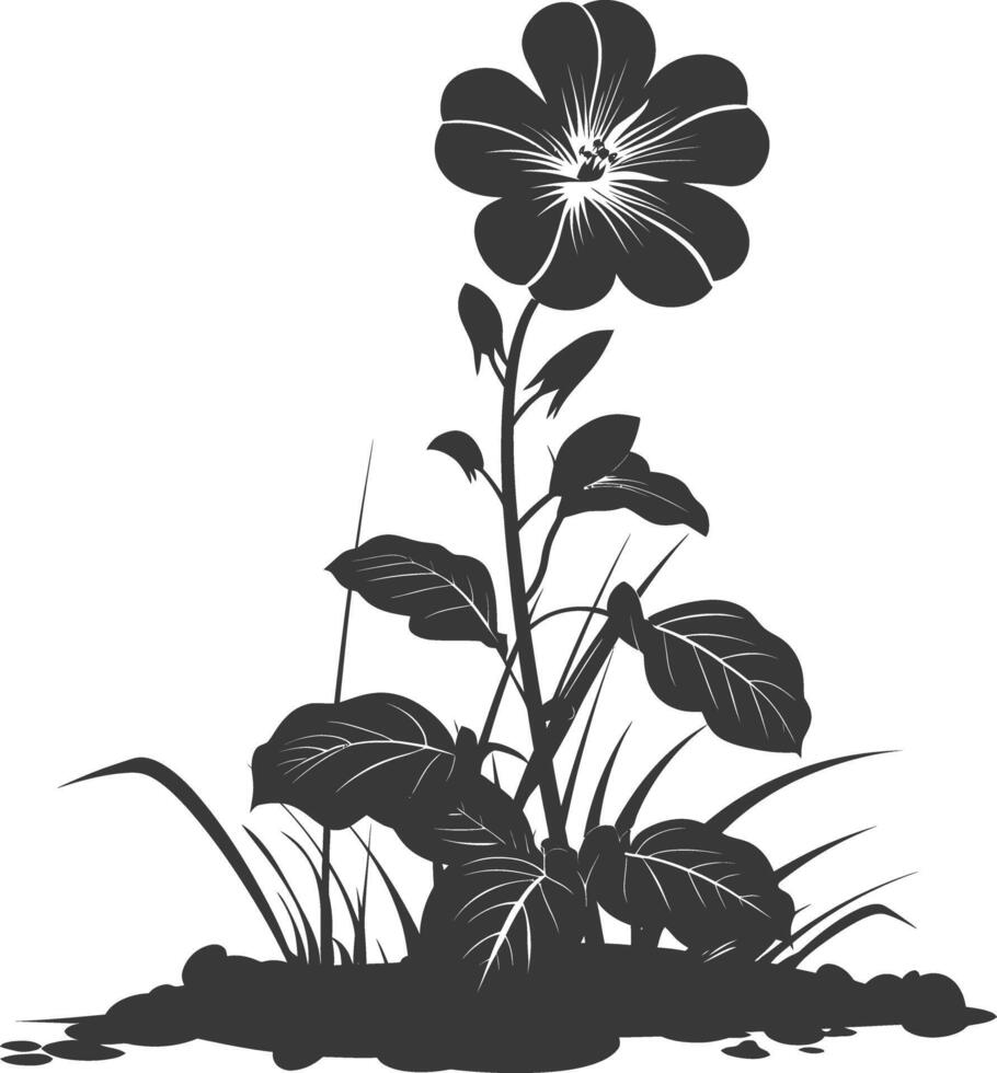 silhouette pervenche fleur dans le sol noir Couleur seulement vecteur