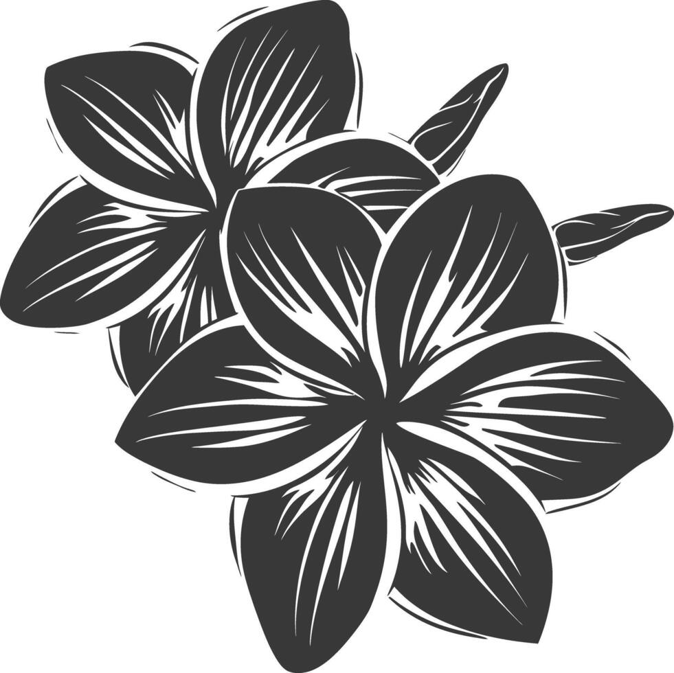 silhouette plumeria fleur noir Couleur seulement vecteur