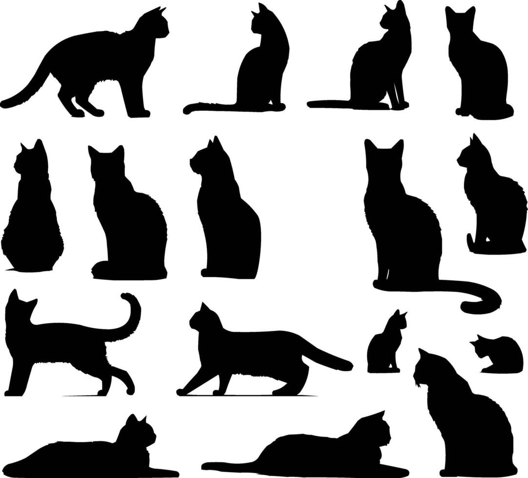 chat silhouette illustration vecteur