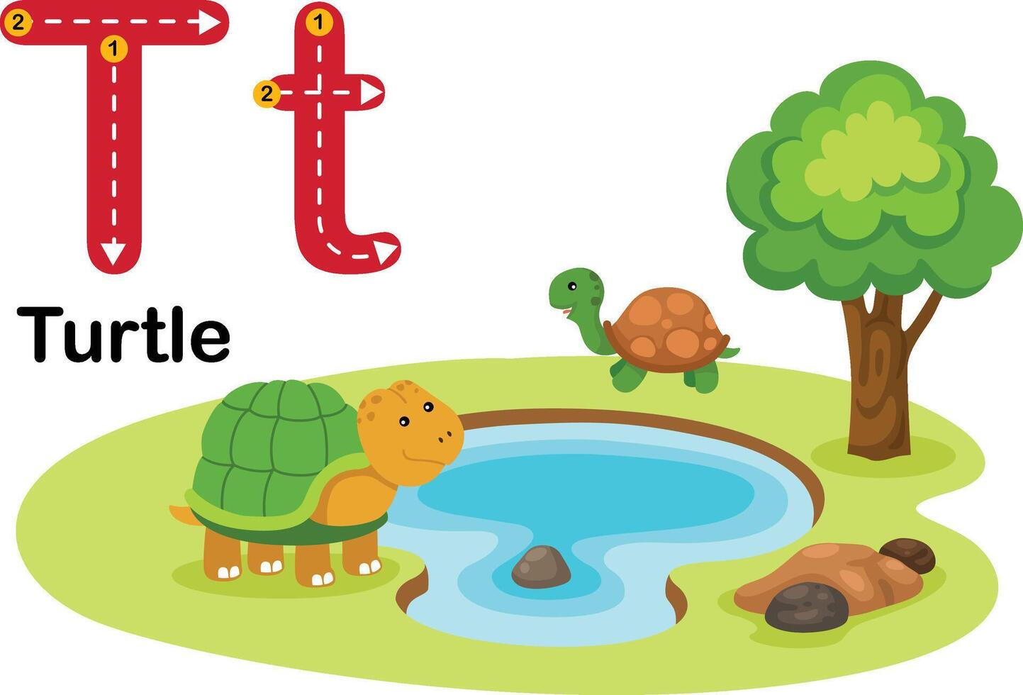 alphabet lettre t-tortue avec dessin animé vocabulaire illustration, vecteur