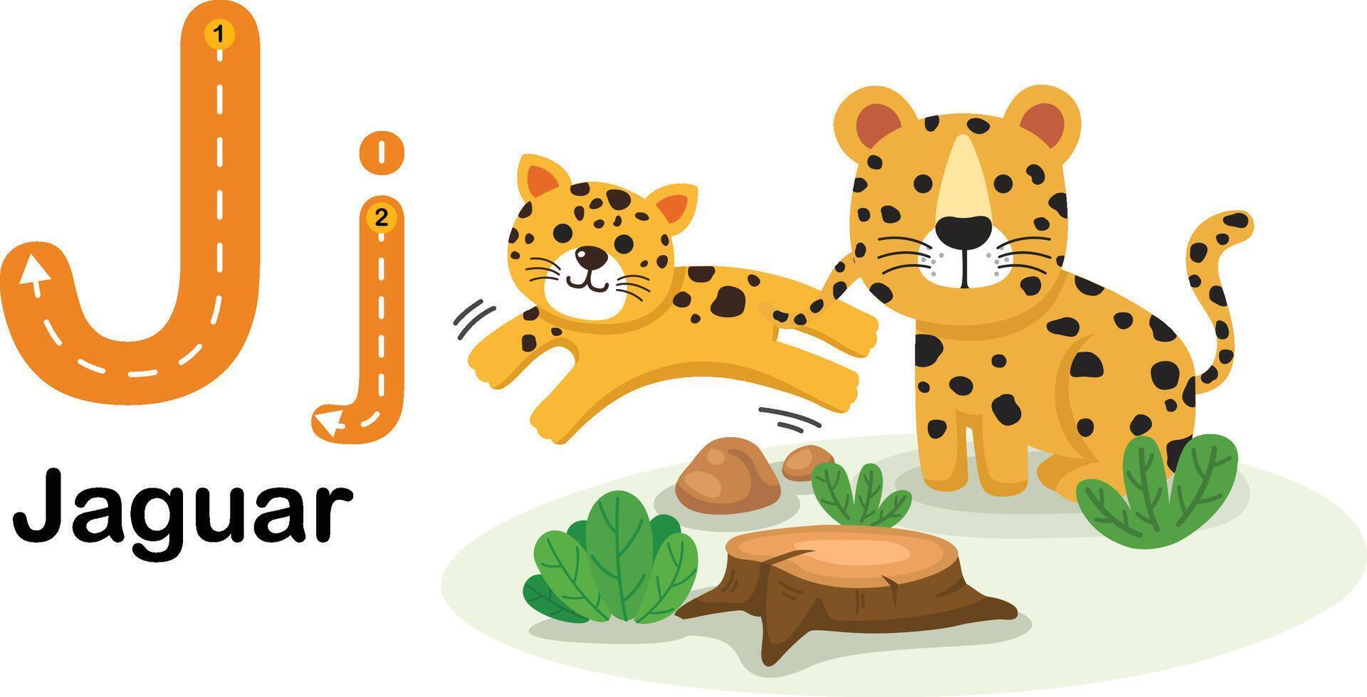 alphabet lettre j-jaguar avec dessin animé vocabulaire illustration, vecteur