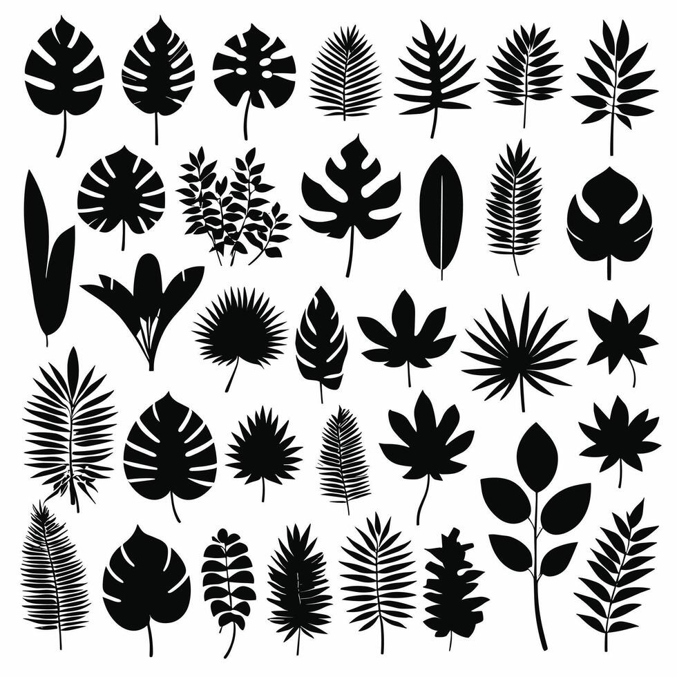 exotique feuille ensemble collection de tropical feuilles silhouette vecteur