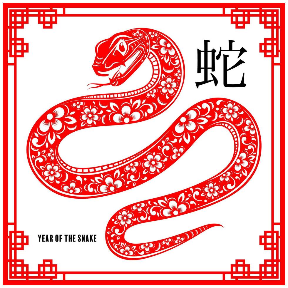 content chinois Nouveau année 2025 le serpent zodiaque signe avec fleur, lanterne, asiatique éléments rouge papier Couper style sur Couleur Contexte. vecteur