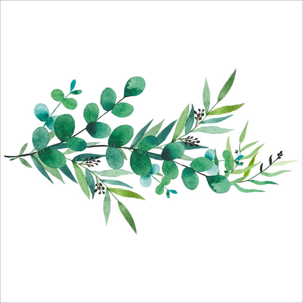 bouquet de aquarelle feuillage. eucalyptus branches. main tiré botanique illustration vecteur