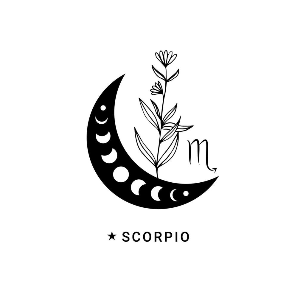 Scorpion zodiaque signe avec lune phase et fleur vecteur