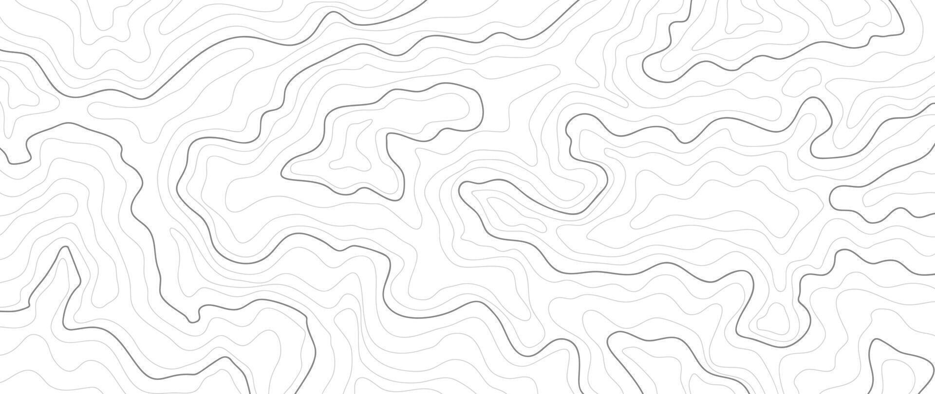 topographique carte modèle Contexte . abstrait Montagne terrain carte Contexte avec abstrait forme ligne texture. conception illustration pour mur art, tissu, emballage, la toile, bannière, fond d'écran. vecteur