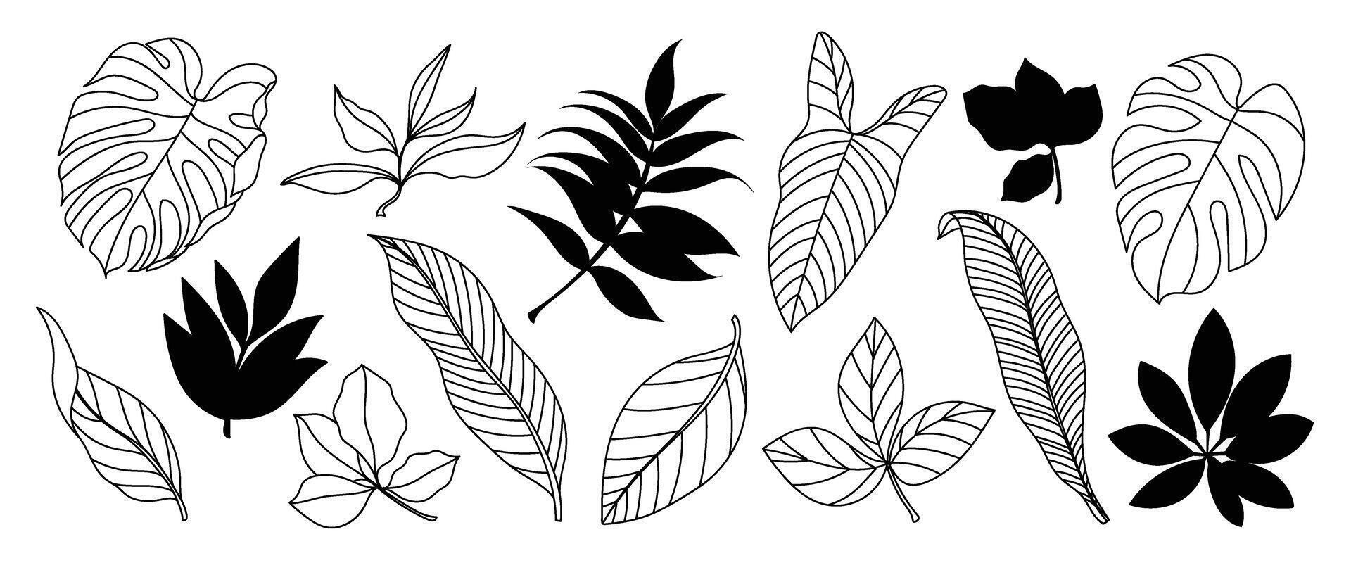 tropical feuilles main tiré ligne art et silhouette ensemble. collection de feuille bifurquer, monstère, paume feuilles noir blanc dessin contour Facile style. conception illustration pour imprimer, logo, l'image de marque. vecteur