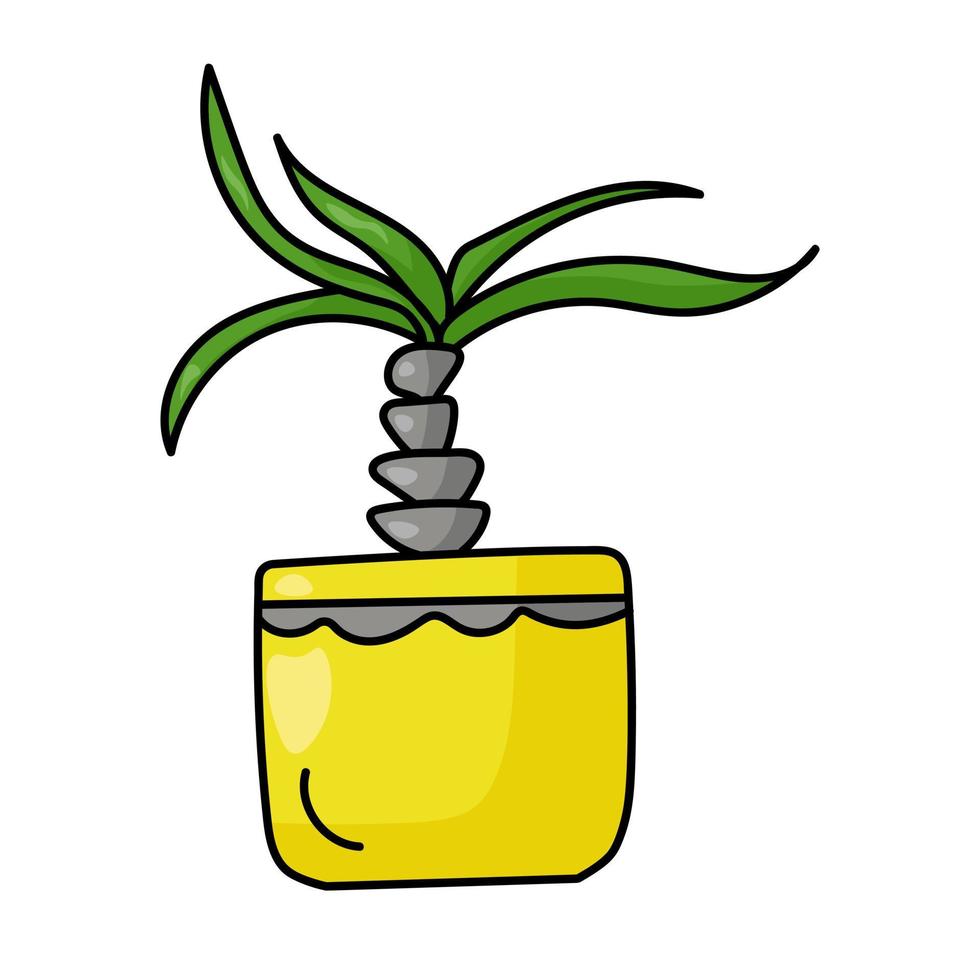 plante en pot en pot jaune vif, dracaena ou palmier domestique dans un style doodle vecteur