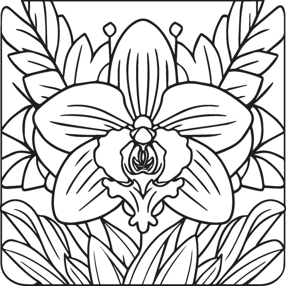 orchidée fleur coloration pages. orchidée fleur contour pour coloration livre vecteur