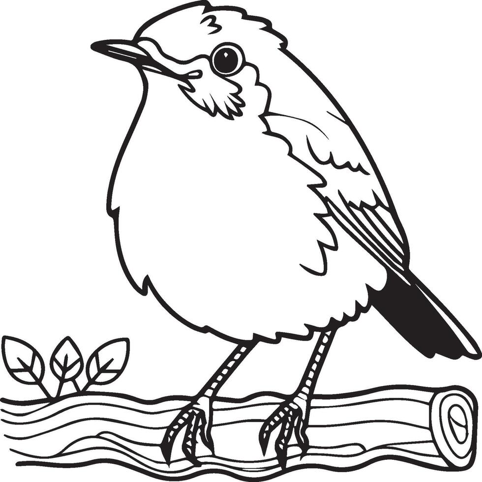 Robin coloration pages. Robin oiseau contour pour coloration livre vecteur