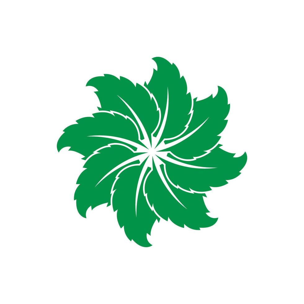 menthe feuille logo modèle symbole conception vecteur