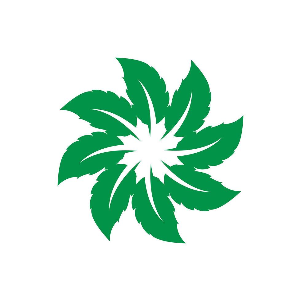 menthe feuille logo modèle symbole conception vecteur