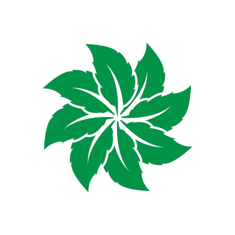 menthe feuille logo modèle symbole conception vecteur