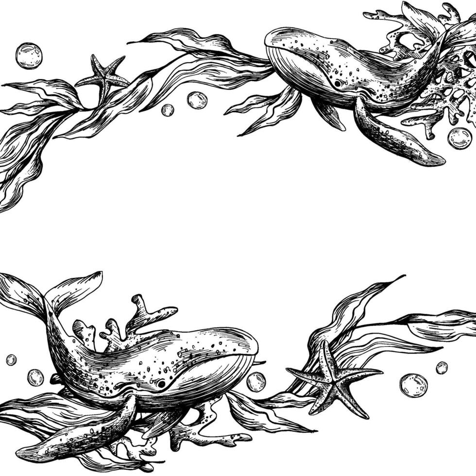 sous-marin monde clipart avec mer animaux baleine, étoile de mer, bulles, corail et algues. graphique illustration main tiré dans noir encrer. modèle, Cadre eps . vecteur