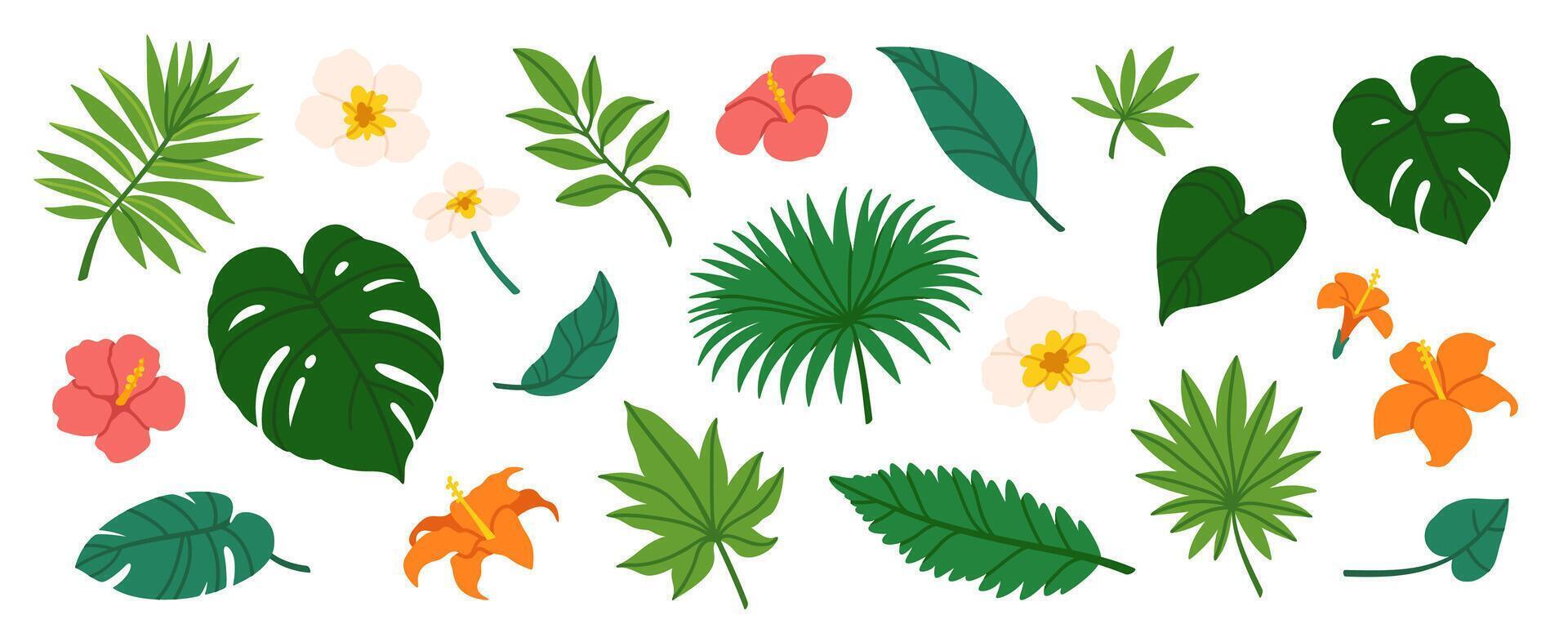 tropical feuilles. dessin animé jungle exotique paume les plantes et fleurs. banane, philodendron, plumeria, monstera feuille isolé sur blanc Contexte. floral éléments. collection vecteur