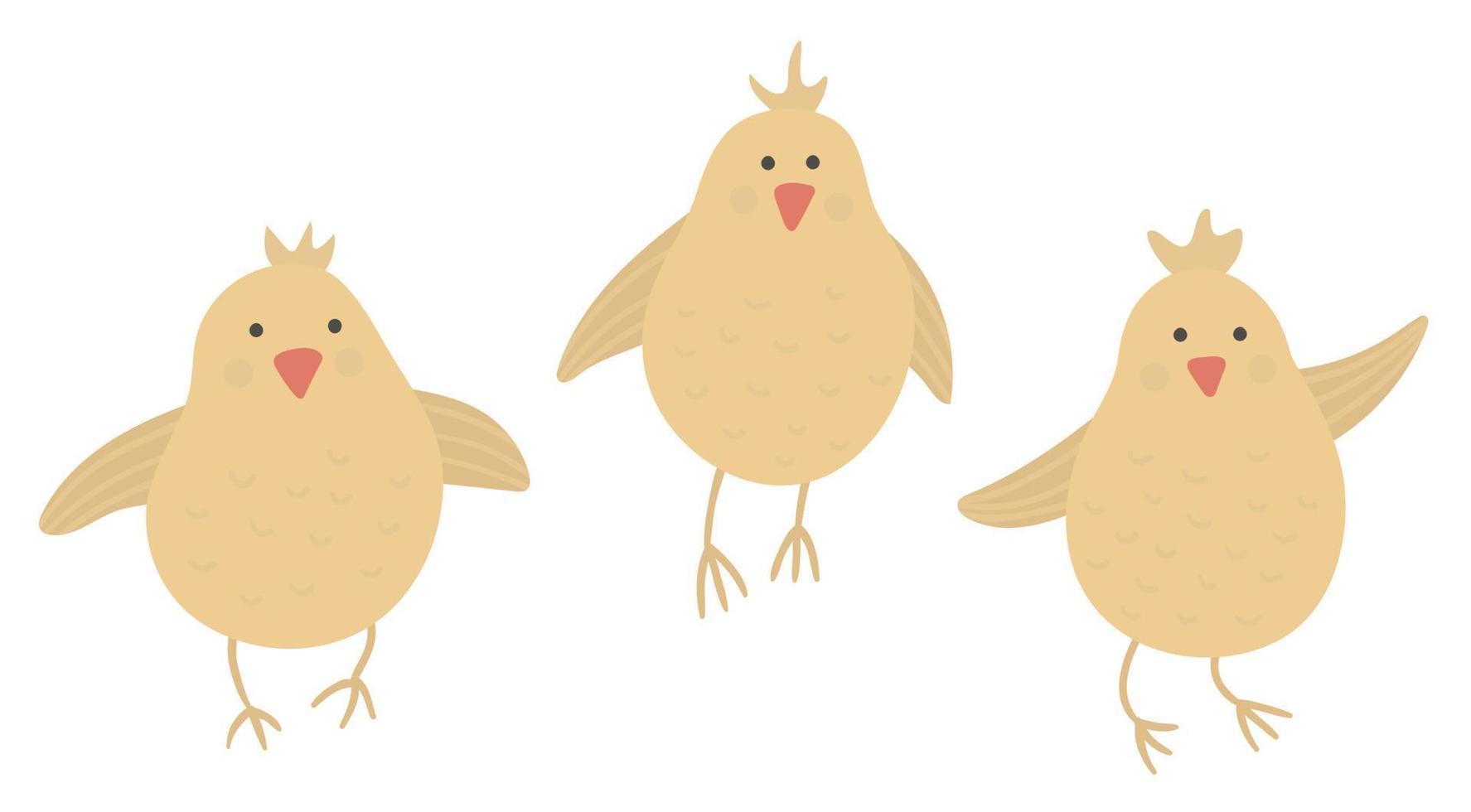 vecteur de poussins drôles isolés sur fond blanc. illustration drôle de printemps, de pâques ou de ferme. icône d'oiseau mignon