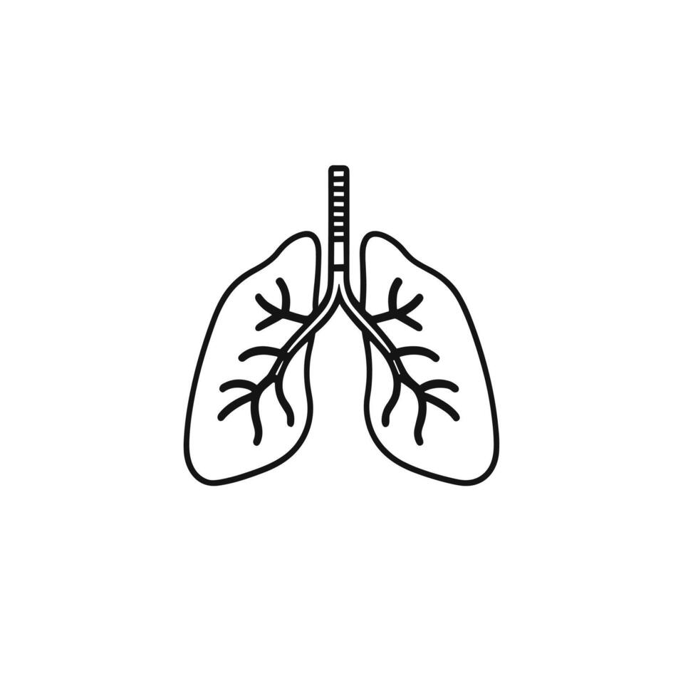 Humain poumons anatomie icône illustration plat 2d conception vecteur