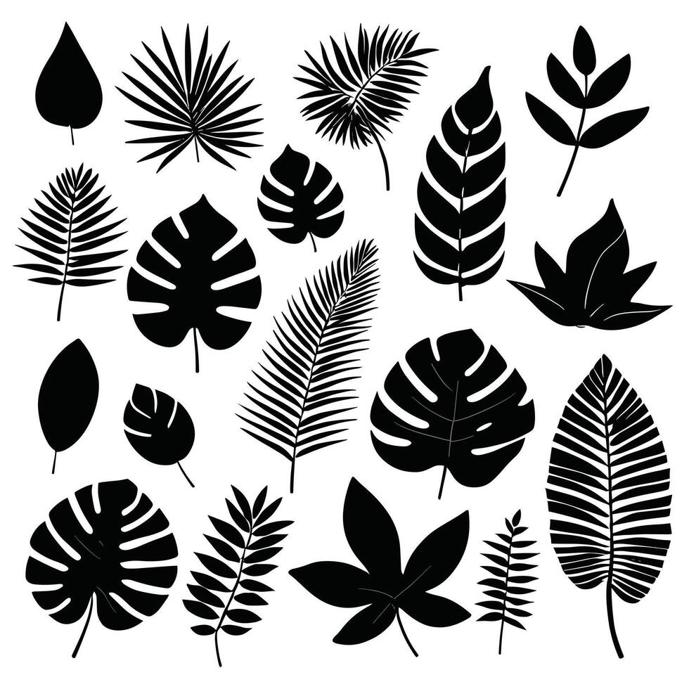 exotique feuille ensemble 2d collection de tropical feuilles silhouette vecteur
