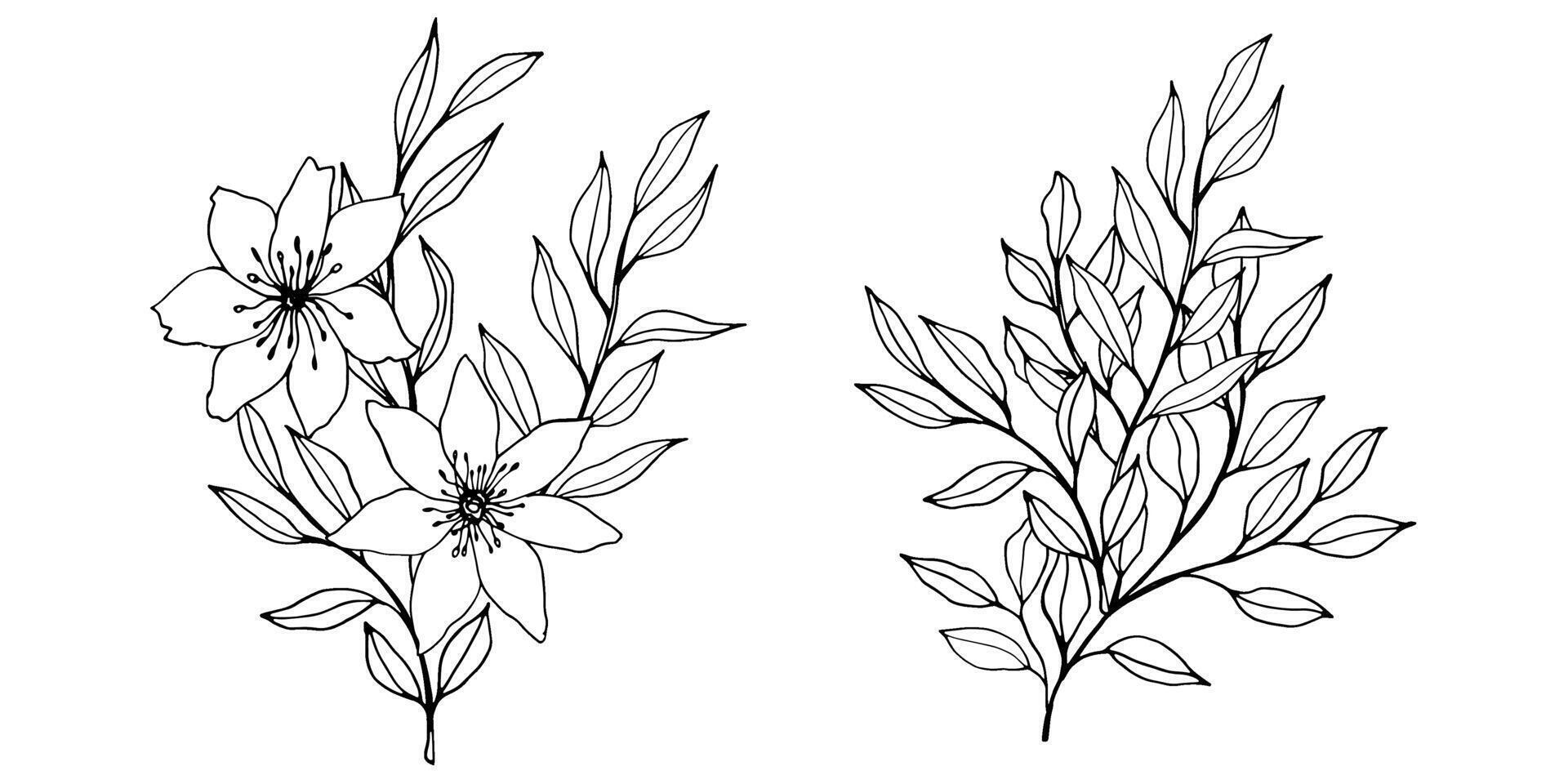 contour bifurquer, fleurs et feuilles compositions. élégant art pour décoration. main tiré monochrome botanique illustration pour arrière-plans. modèle pour mariage cartes et polygraphe, logo, tatouage vecteur